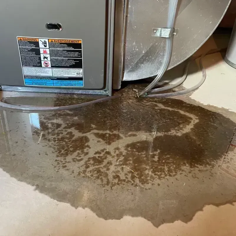 Appliance Leak Cleanup in Hannibal, MO